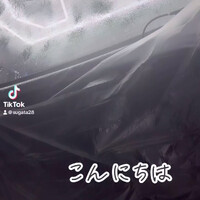 画像251